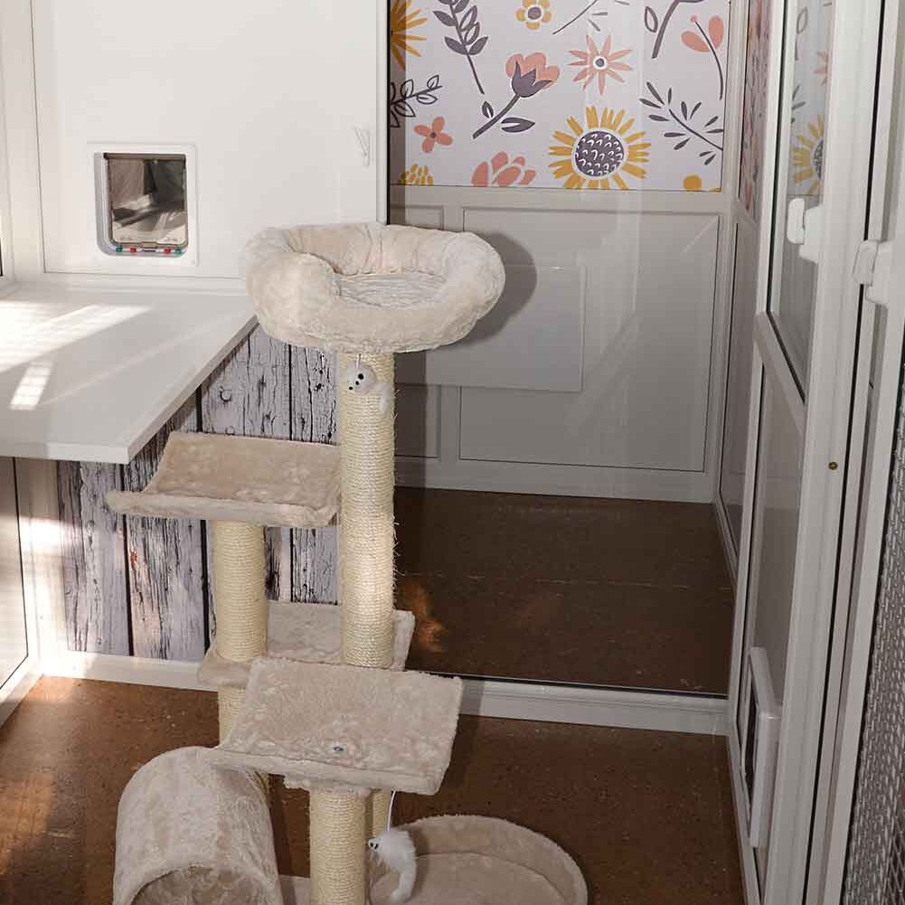 glebehousecattery5